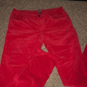 Tripp NY red velvet pants